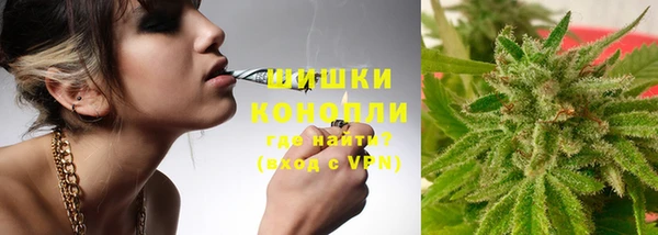 молекула духа Заводоуковск