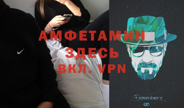 шишки Абаза