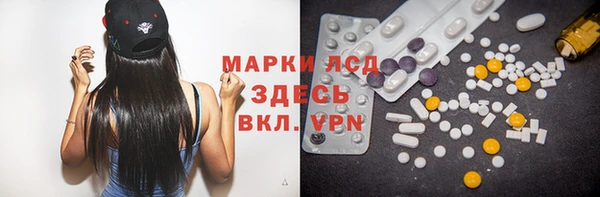 шишки Абаза