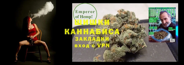 шишки Абаза
