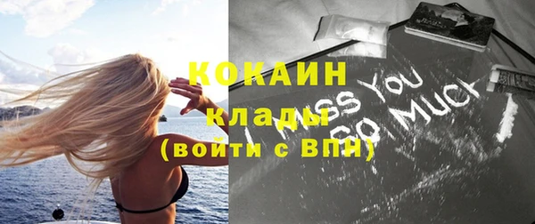 шишки Абаза