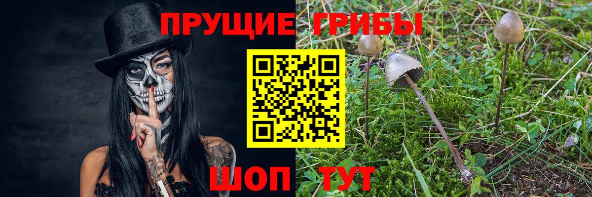 Галлюциногенные грибы Psilocybe  Вход с VPN  Электросталь 