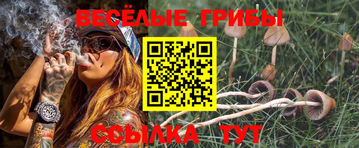 Псилоцибиновые грибы Cubensis Электросталь